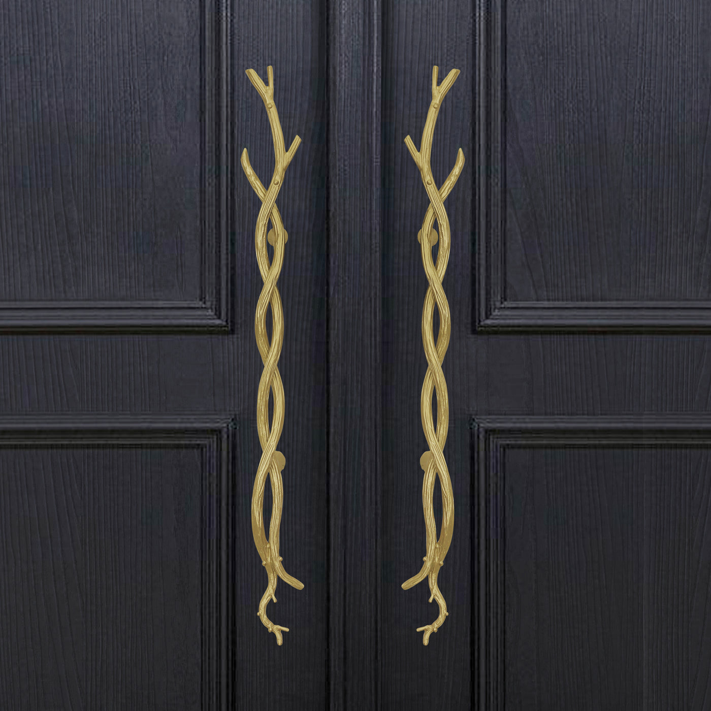A pair of decorative golden pull handles inspired by twisted branches mounted on a closed wooden door